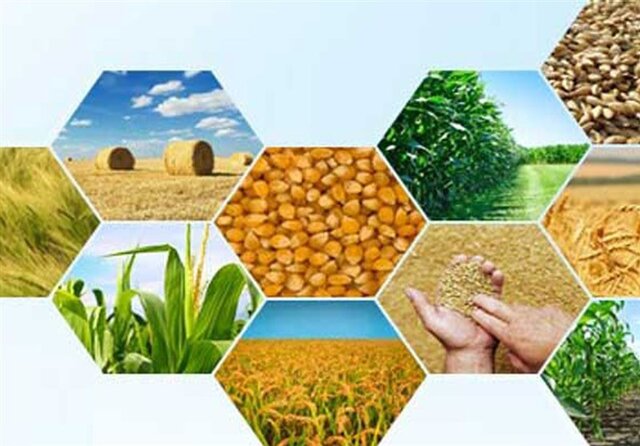 کشاورزی خوزستان در مسیر توسعه