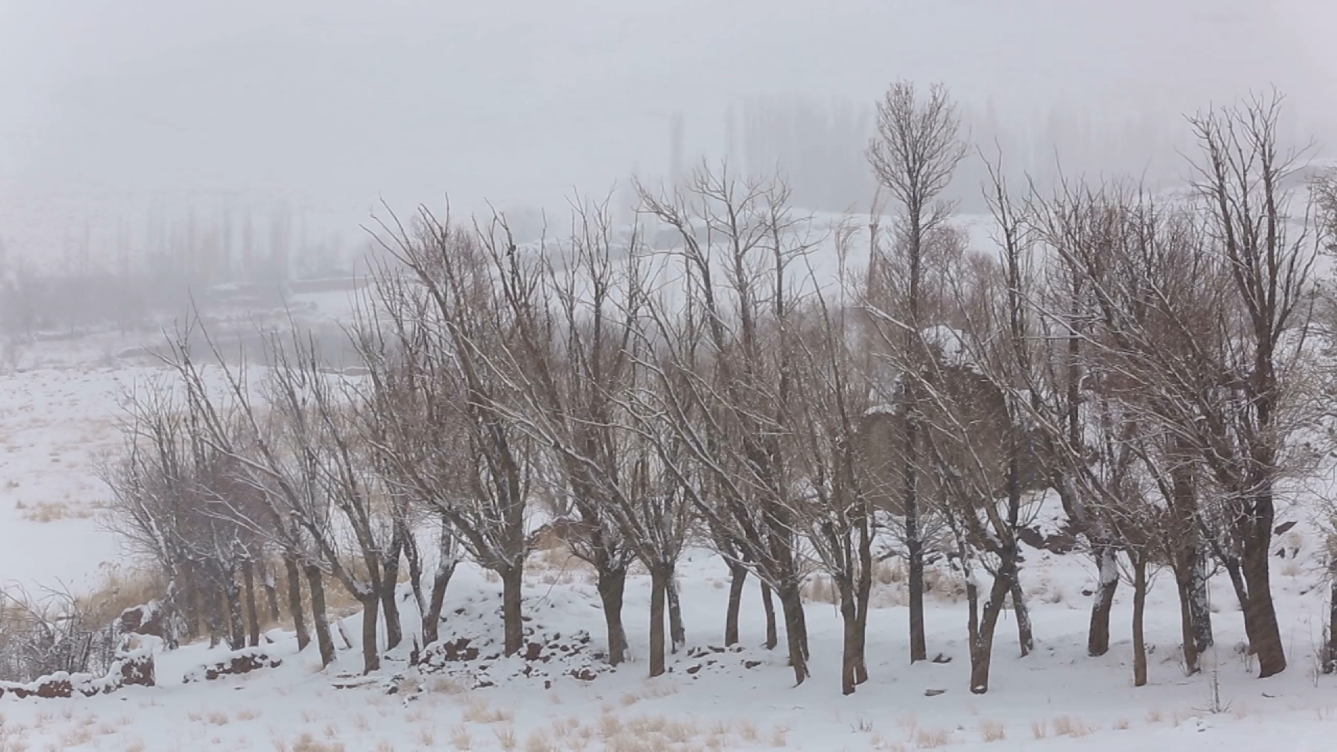 بارش‌ برف و باران در چهارمحال و بختیاری