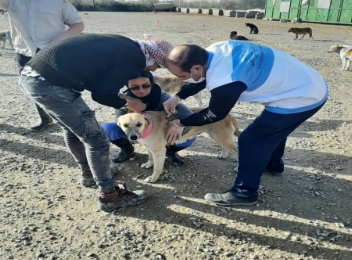 واکسیناسیون رایگان سگ‌های بلاصاحب در ماهشهر