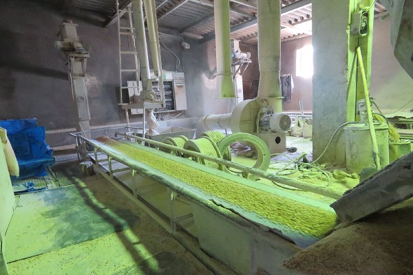 نظارت دامپزشکی خوزستان بر تولید خوراک دام، طیور و آبزیان