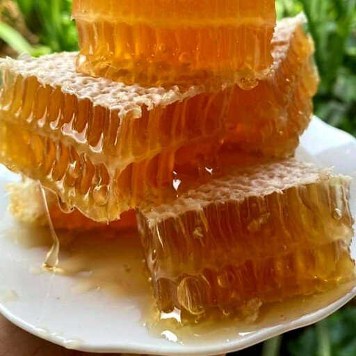 تولید ۱۳۰ تن عسل در شهرستان بهشهر
