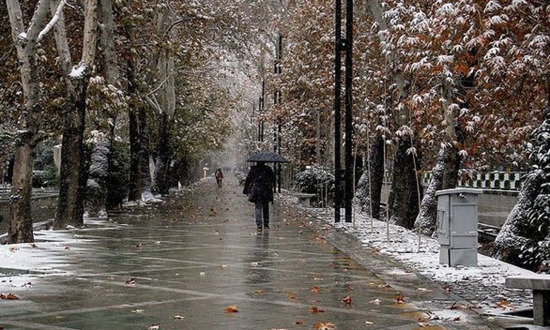 بارش‌ برف و باران  و وزش باد شدید در راه فارس