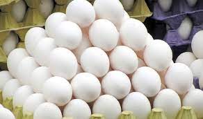 تولید روزانه ۳۵۰ تن تخم مرغ در  خراسان رضوی