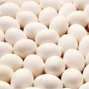 رصد تخم مرغ‌های مصرفی در شیرینی پزی‌های فردوس