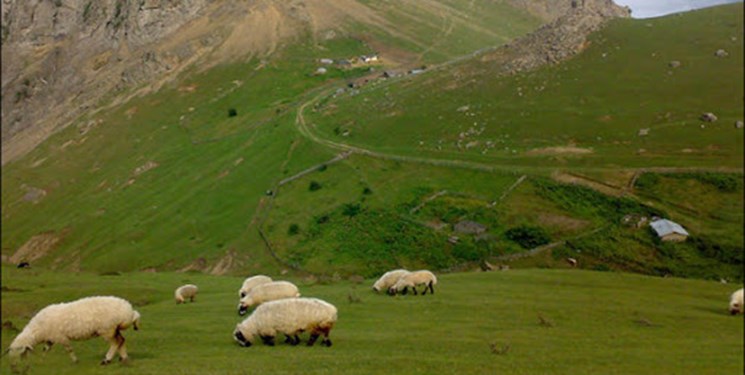 ساماندهی ۳۳ هزار هکتار از مراتع کهگیلویه و بویراحمد