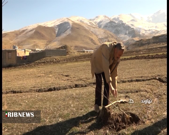 بذرپاشی ۴ هزار و ۹۰۰ هکتار مرتع در روستای تازه ناب علیا