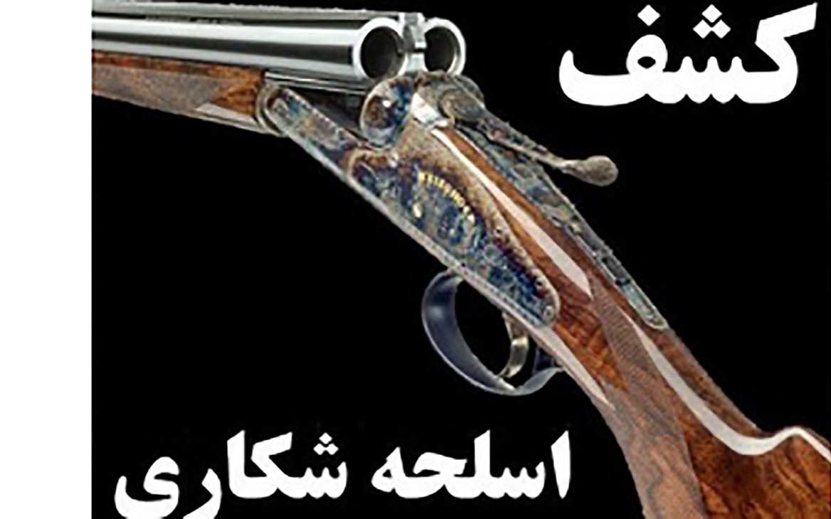 کشف سلاح های شکاری غیرمجاز در شاهین شهر