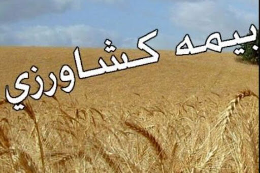 صدور بیش از ۵۲ هزار بیمه نامه کشاورزی در فارس