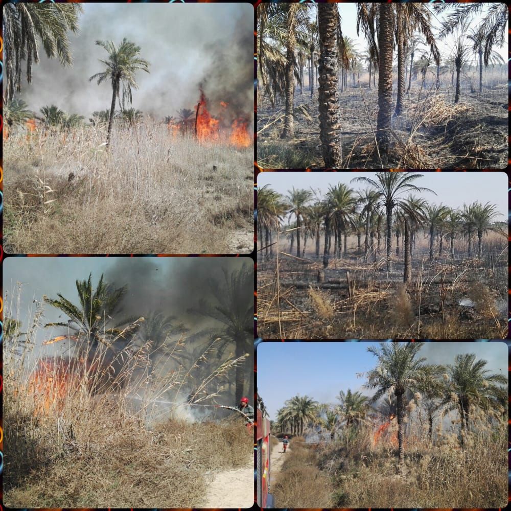 تاکید بر بررسی علت آتش سوزی ها در اروندکنار