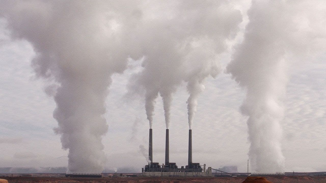 چگونه یک کسب و کار نوپا آلودگی هوا را به طلای سیاه تبدیل کرد