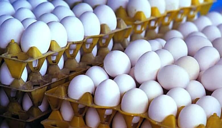 فروش اینترنتی تخم مرغ و برنج در اهواز