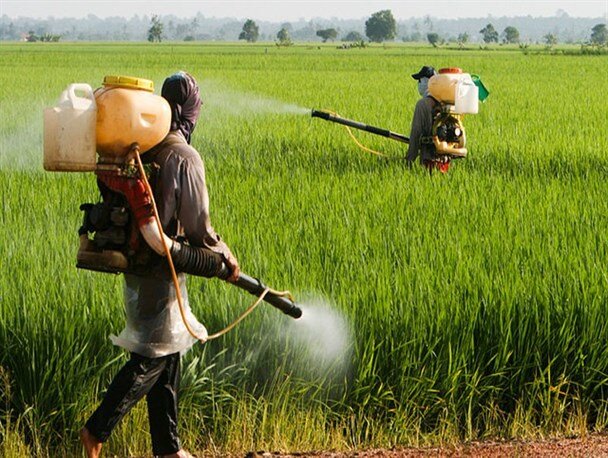 اختصاص سه میلیارد ریال برای مقابله با آفات کشاورزی در قزوین