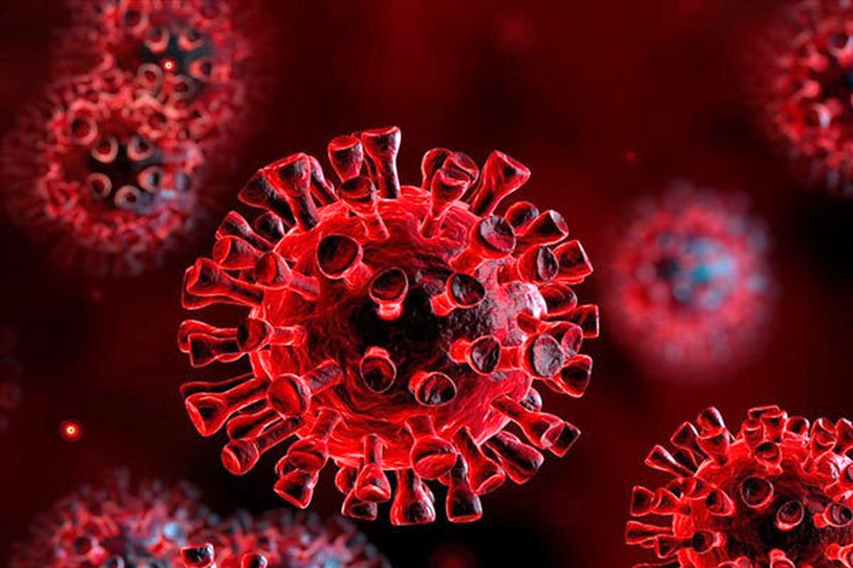 افزایش دوباره ویروس کرونا در استان