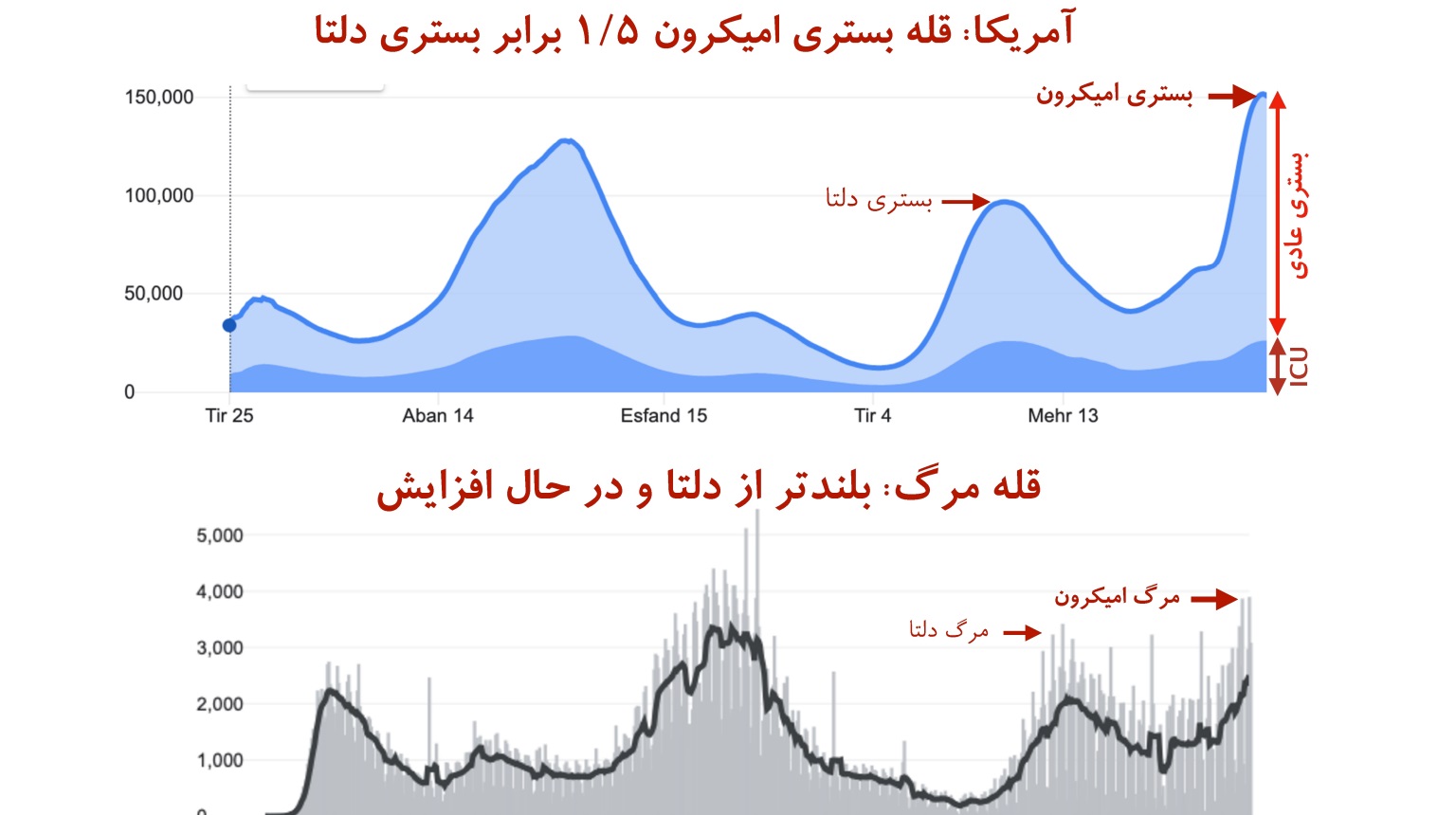 قله مرگ کرونای امیکرون بالاتر از دلتا