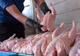 ذخیره مرغ برای تنظیم بازار شب عید گیلان