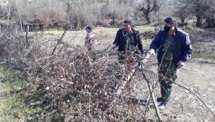 رفع تصرف زمین‌های ملی میلیاردی در آستارا