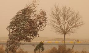 آلاینده‌های منطقه‌ای در استان، جای خود را به گرد و غبار فرا منطقه‌ای دادند
