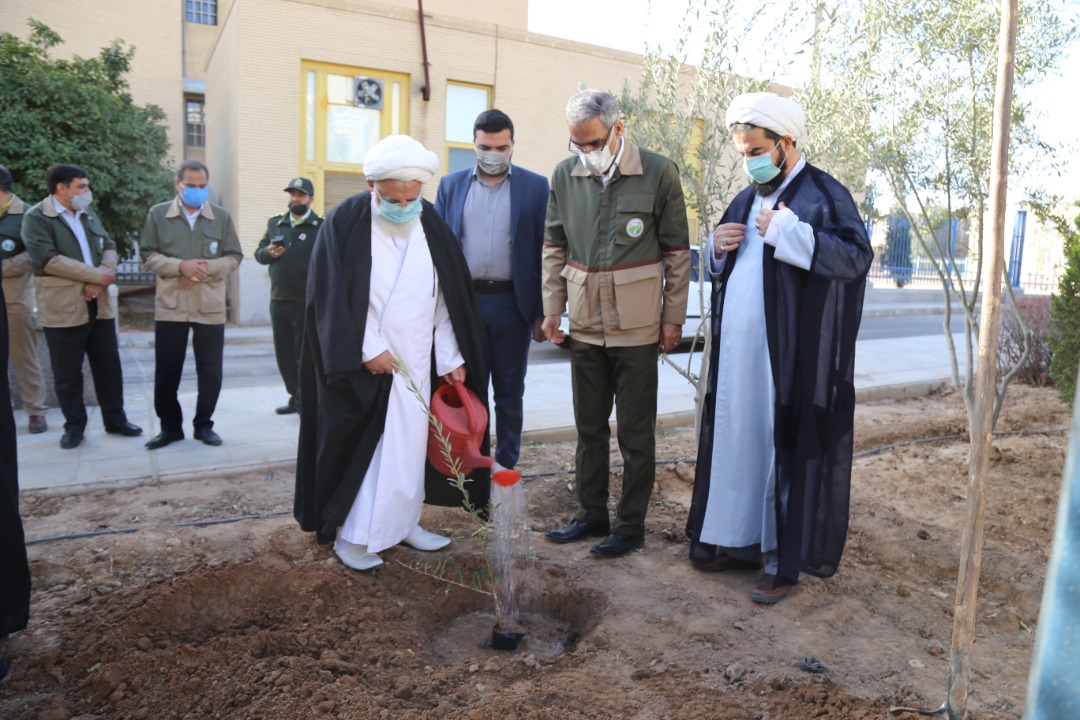 کاشت نهال توسط امام جمعه یزد به مناسبت روز درختکاری