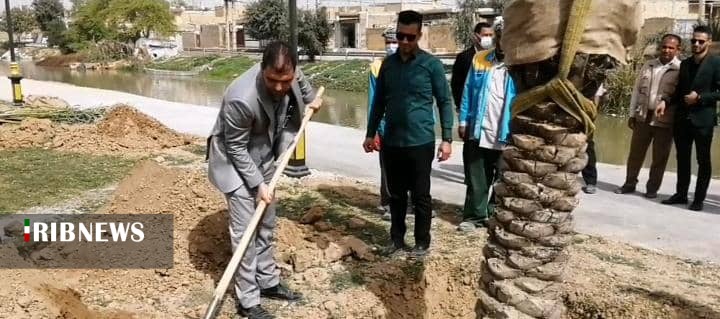 کاشت ۲۰۰ نفر نخل مثمر در حمیدیه