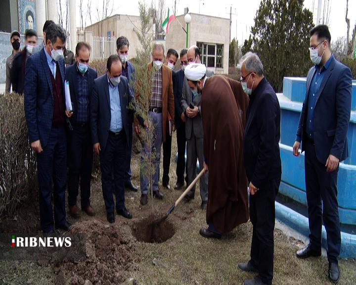 غرس ۱۰۰ اصله نهال به مناسبت روز درختکاری