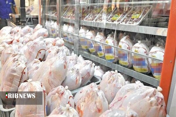 تولید بیش از ۱۱ هزار تن گوشت مرغ در همدان