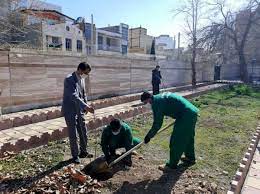 کاشت بیش از ۵۰۰ هزار اصله نهال درخت در استان