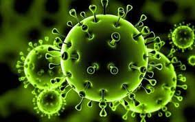 ۶۱ مورد جدید مبتلا به کرونا ویروس در ایلام شناسایی شد