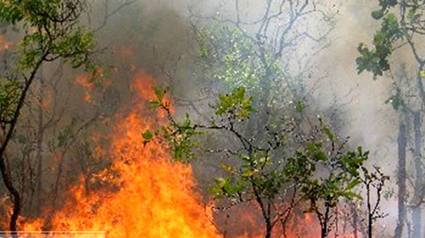 شهروندان از روشن کردن آتش در طبیعت خودداری کنند