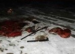دستگیری شکارچیان گراز وحشی در نیشابور
