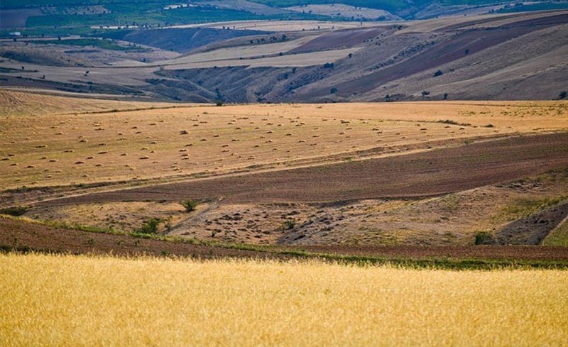 سهم ۱۸۰ هزارهکتاری آذربایجان غربی ازطرح ملی جهش تولید