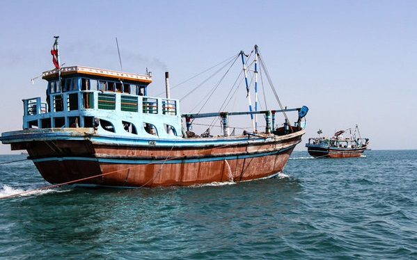ممنوعیت صید ماهی شوریده در صیدگاه‌های استان بوشهر