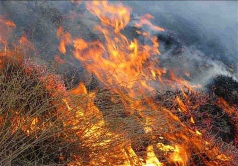 مهار آتش سوزی بخشی از پارک ملی تندوره درگز