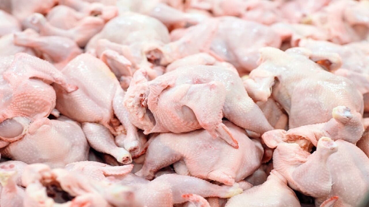 ممنوعیت تولید مرغ قطعه بندی در استان قزوین