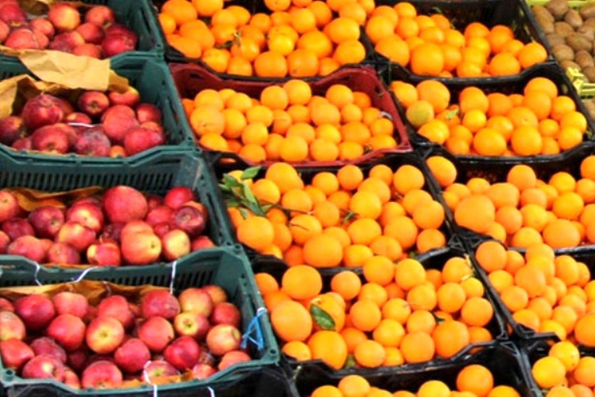 توزیع میوه تنظیم بازار در فارس از امروز ۲۶ اسفند