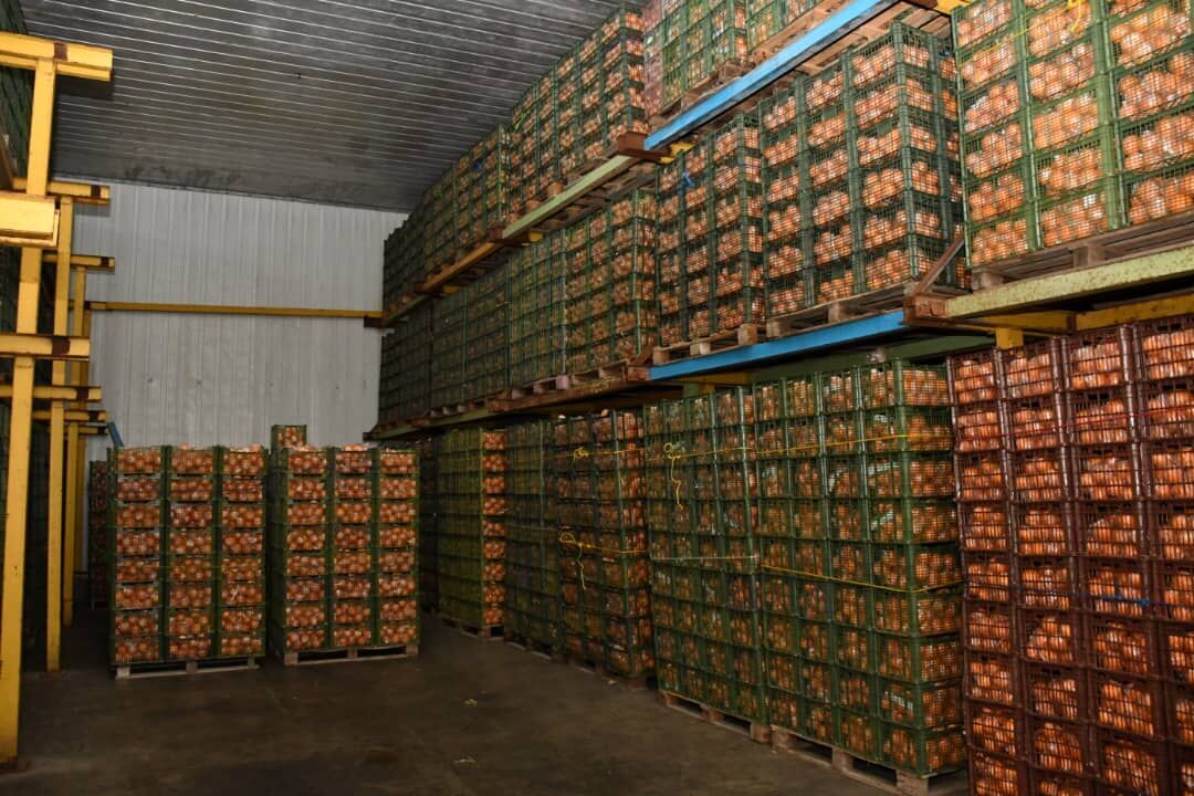 توزیع ۶۰۰ تن میوه شب عید در کهگیلویه و بویراحمد