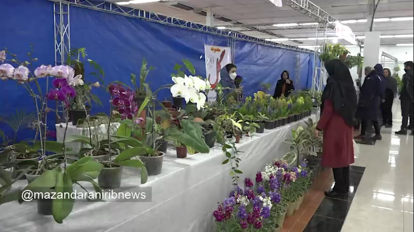 نمایشگاه گل‌های زینتی و گلخانه‌ای در ساری