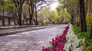 کاشت بیش از ۴۰ هزار گلدان گل و نهال  در ضلع غربی چهارباغ عباسی