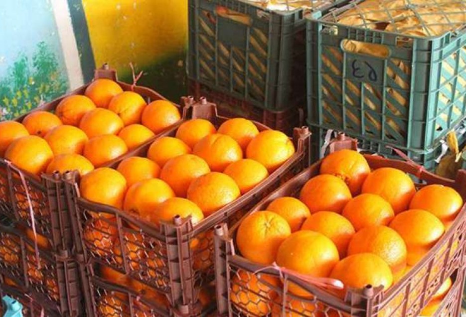 توزیع سیب و پرتقال شب عید و کالا‌های اساسی در مازندران
