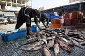 ماهی‌های غیربهداشتی در دام دامپزشکی آباده
