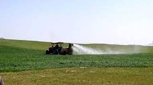 آغاز مبارزه با علف‌های هرز مزارع گندم و جو در مناطق گرمسیری استان