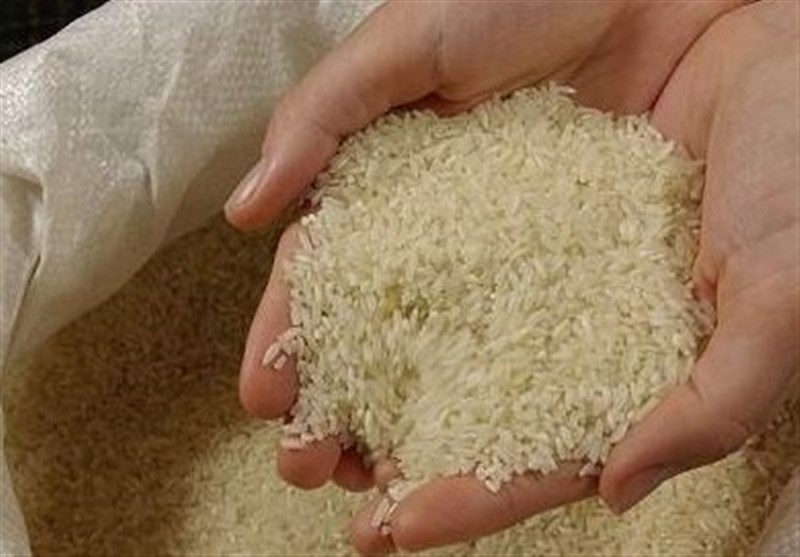کشف برنج تقلبی این بار از یک شرکت اینترنتی