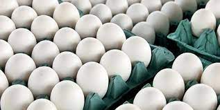کشف بیش از ۴ تن تخم مرغ فاقد مجوز در قاین