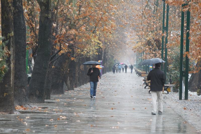 ثبت بیشترین میزان بارندگی در چناران شهر بجنورد