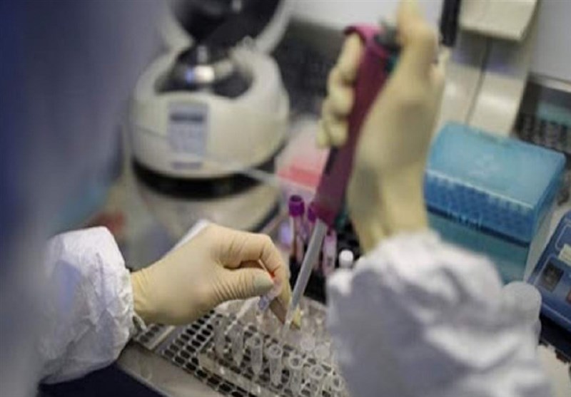 راه اندازی آزمایشگاه PCR  در کهگیلویه و بویراحمد