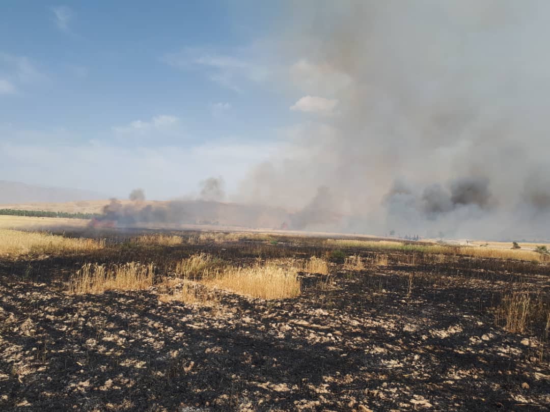مهار آتش‌سوزی در مزارع گندم بخش جره و بالاده کازرون