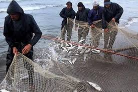 صدور ۳۰۰ تن انواع ماهی پارسال از آذربایجانغربی به کشورهای همسایه