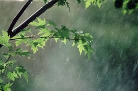 ثبت ۸ میلیمتر بارش رگباری باران در بوئین زهرا