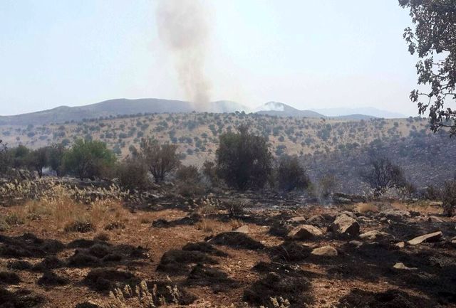 آتش سوزی بر اثر صاعقه در پارک ملی بمو