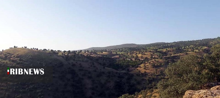 انجیرستان  دیم بر فراز کوهستان  گِل دهدز