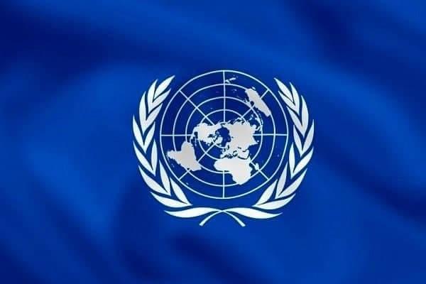 قطعنامه سازمان ملل در مورد «پیشگیری از غرق شدگی»